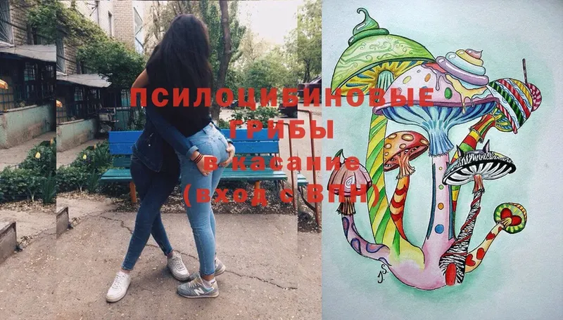 Галлюциногенные грибы ЛСД  omg вход  Каргополь 